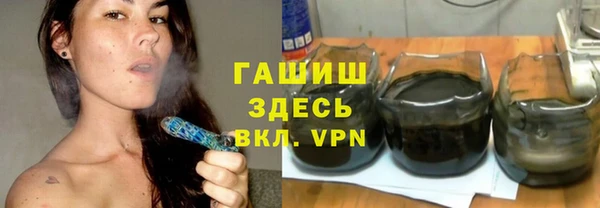сатива Бронницы