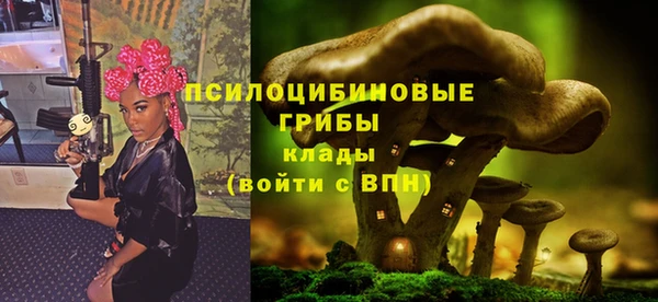 марихуана Снежногорск