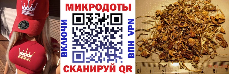 Галлюциногенные грибы прущие грибы  Надым 